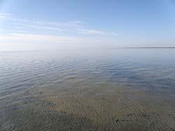 Алтайский край : Кулундинское озрео : Кулундинское озеро