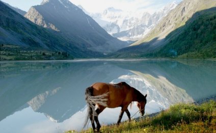Особенности Развития Туризма Алтайском Крае