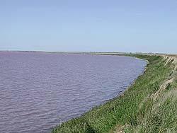 Кучукское озеро