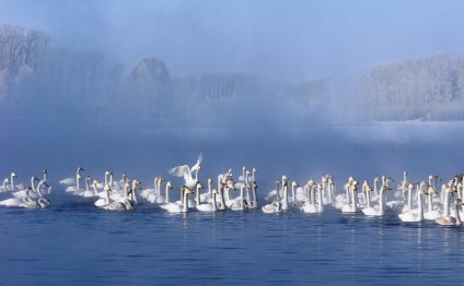 Озеро на Алтае