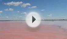 Розовое озеро Бурсоль Алтайский край - Малиновое озеро